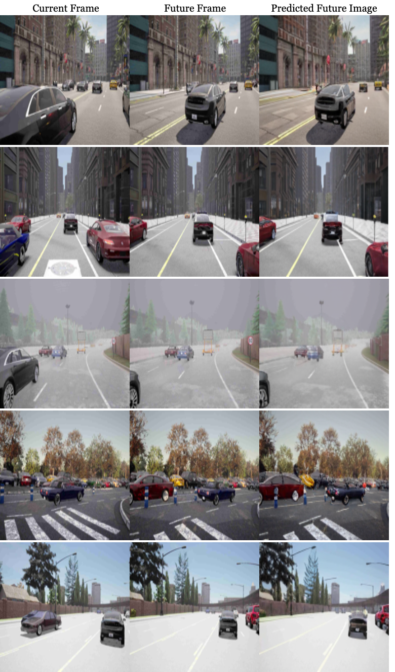 Supplementary Visualization